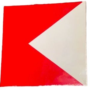 NWT Red Nautical Canvas Print